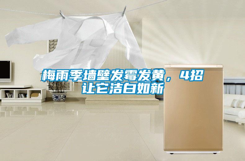 梅雨季墙壁发霉发黄，4招让它洁白如新