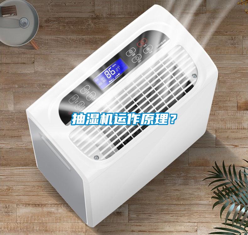 抽湿机运作原理？