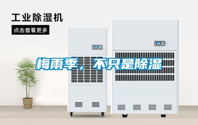梅雨季，不只是除湿