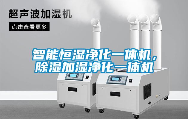 智能恒湿净化一体机，除湿加湿净化一体机