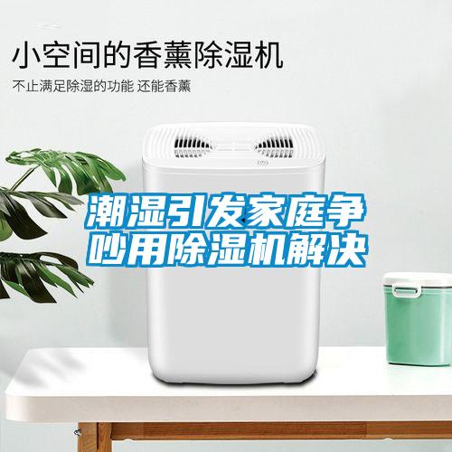 潮湿引发家庭争吵用91抖音免费看片解决