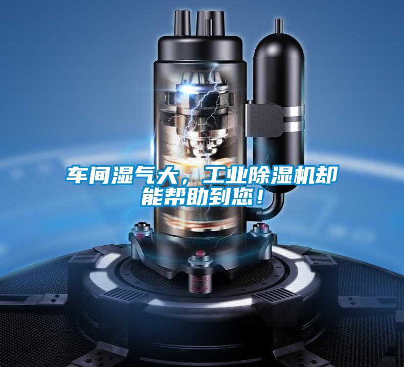 车间湿气大，工业91抖音免费看片却能帮助到您！