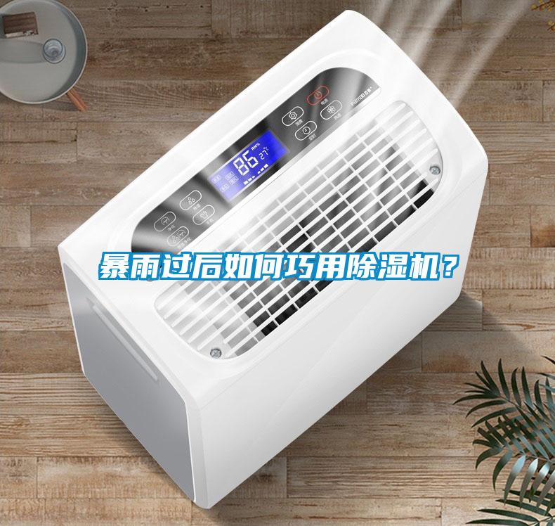 暴雨过后如何巧用91抖音免费看片？