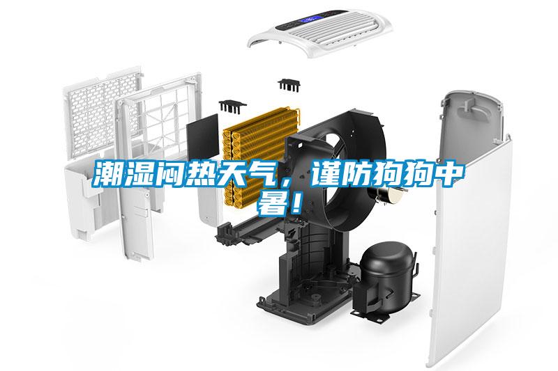 潮湿闷热天气，谨防狗狗中暑！