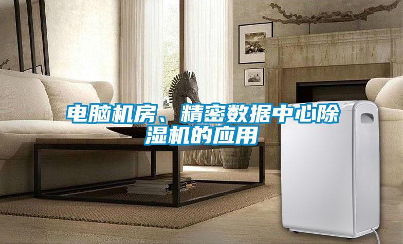 电脑机房、精密数据中心91抖音免费看片的应用