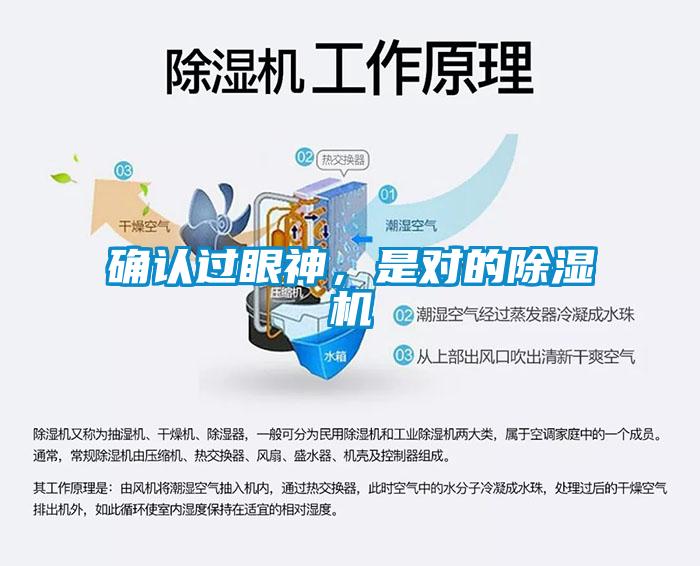 确认过眼神，是对的91抖音免费看片