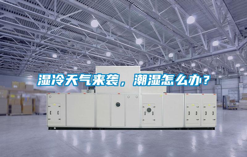 湿冷天气来袭，潮湿怎么办？
