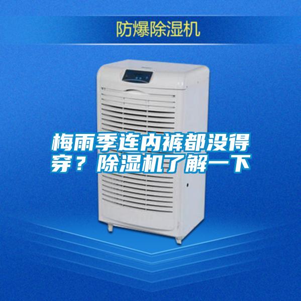 梅雨季连内裤都没得穿？91抖音免费看片了解一下