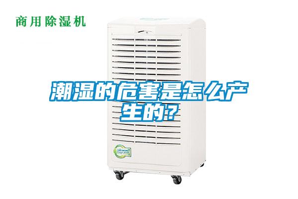 潮湿的危害是怎么产生的？