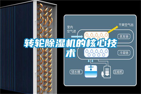 转轮91抖音免费看片的核心技术
