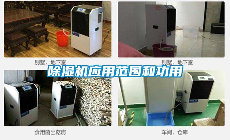 91抖音免费看片应用范围和功用