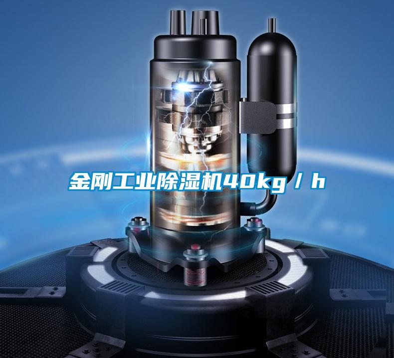 金刚工业91抖音免费看片40kg／h