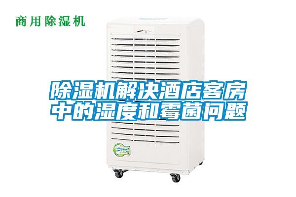 91抖音免费看片解决酒店客房中的湿度和霉菌问题