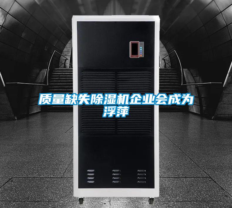 质量缺失91抖音免费看片企业会成为浮萍