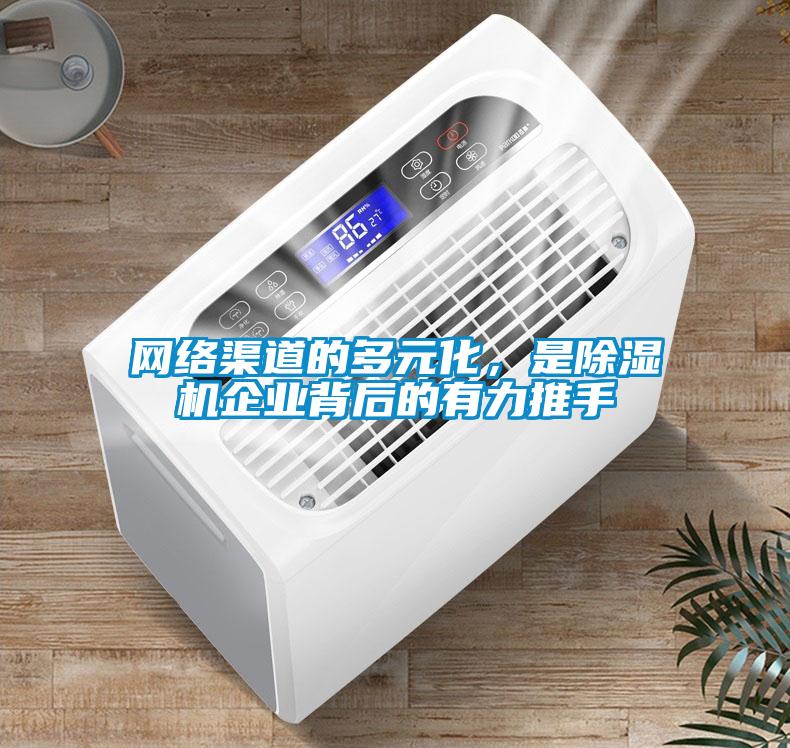 网络渠道的多元化，是91抖音免费看片企业背后的有力推手