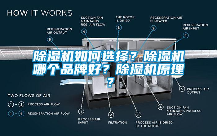 91抖音免费看片如何选择?91抖音免费看片哪个品牌好?91抖音免费看片原理?