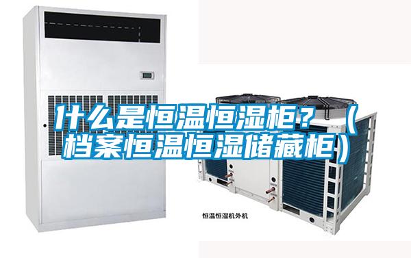 什么是恒温恒湿柜？（档案恒温恒湿储藏柜）