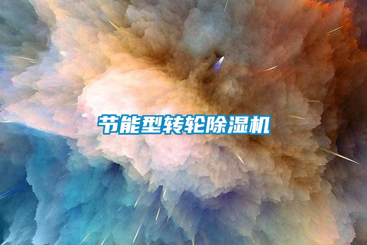 节能型转轮91抖音免费看片