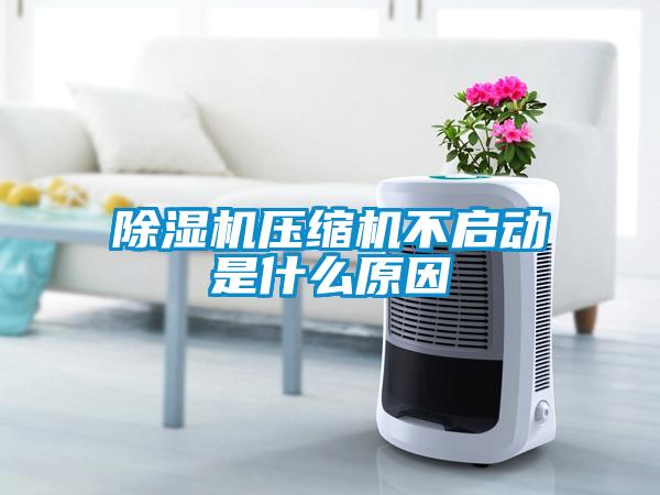 91抖音免费看片压缩机不启动是什么原因