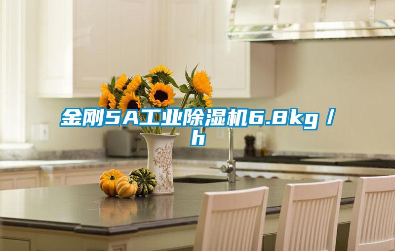 金刚5A工业91抖音免费看片6.8kg／h
