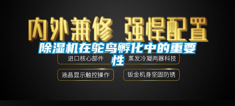 91抖音免费看片在鸵鸟孵化中的重要性