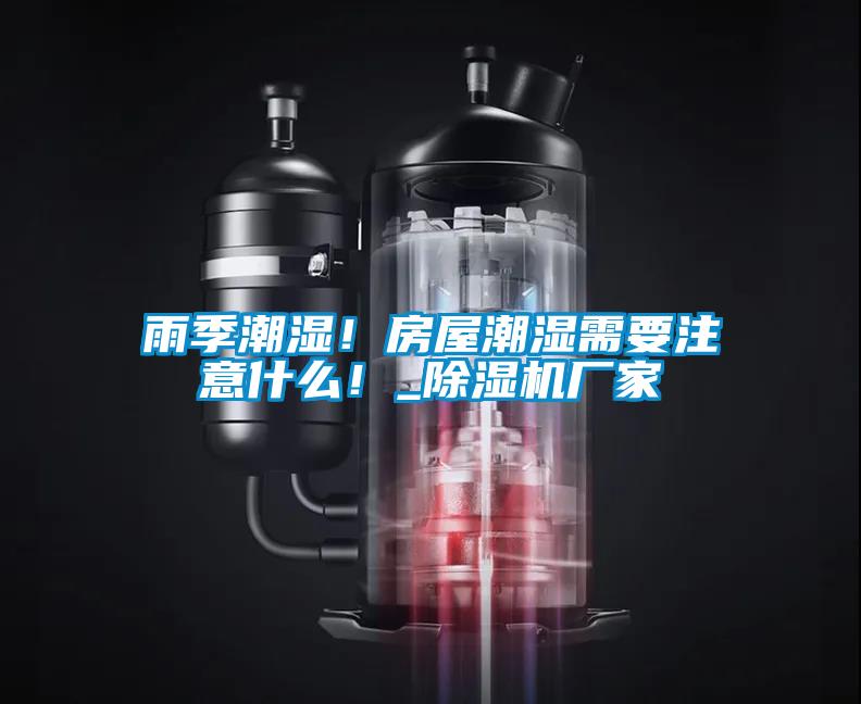 雨季潮湿！房屋潮湿需要注意什么！_91抖音免费看片厂家