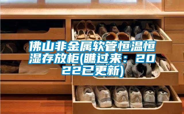 佛山非金属软管恒温恒湿存放柜(瞧过来：2022已更新)