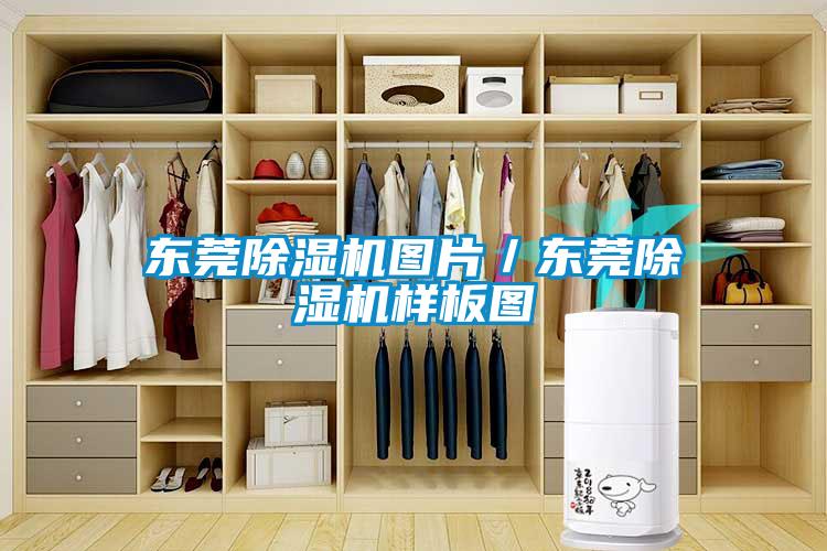东莞91抖音免费看片图片／东莞91抖音免费看片样板图