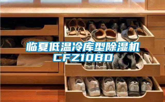 临夏低温冷库型91抖音免费看片CFZ10BD