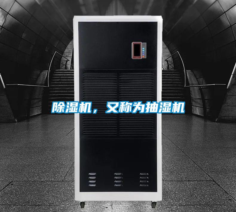 91抖音免费看片，又称为抽湿机