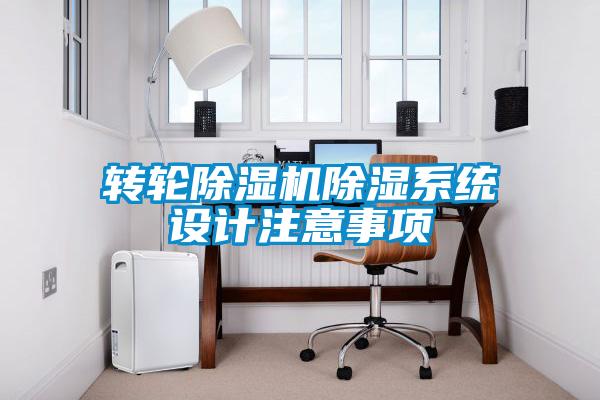 转轮91抖音免费看片除湿系统设计注意事项