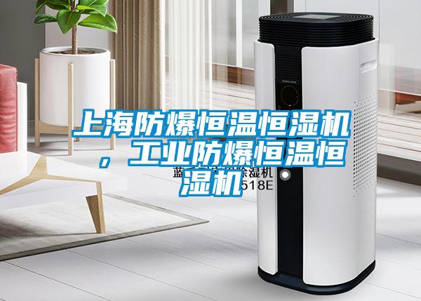上海防爆恒温恒湿机 ，工业防爆恒温恒湿机