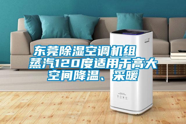 东莞除湿空调机组  蒸汽120度适用于高大空间降温、采暖