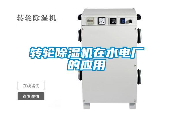 转轮91抖音免费看片在水电厂的应用