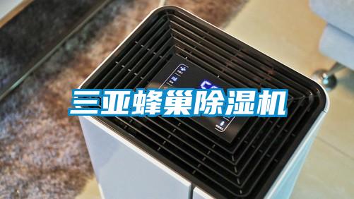 三亚蜂巢91抖音免费看片