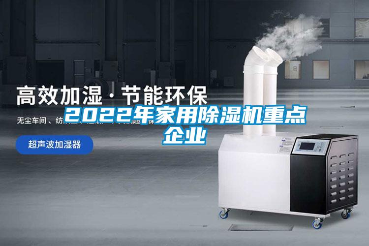 2022年家用91抖音免费看片重点企业