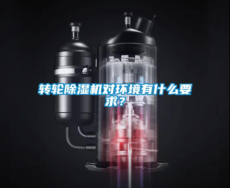 转轮91抖音免费看片对环境有什么要求？
