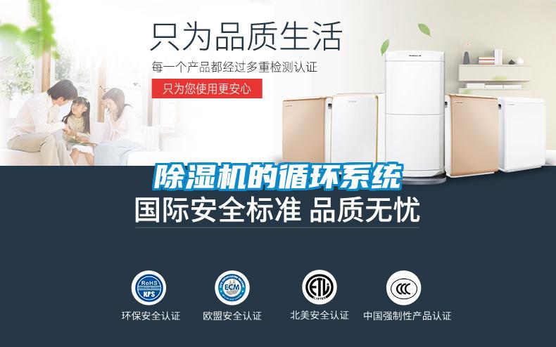 91抖音免费看片的循环系统