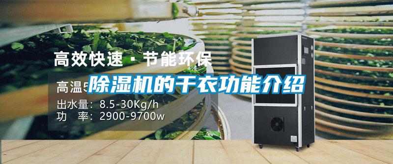 91抖音免费看片的干衣功能介绍