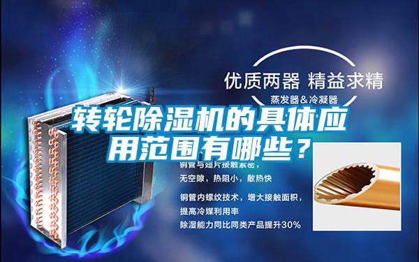 转轮91抖音免费看片的具体应用范围有哪些？