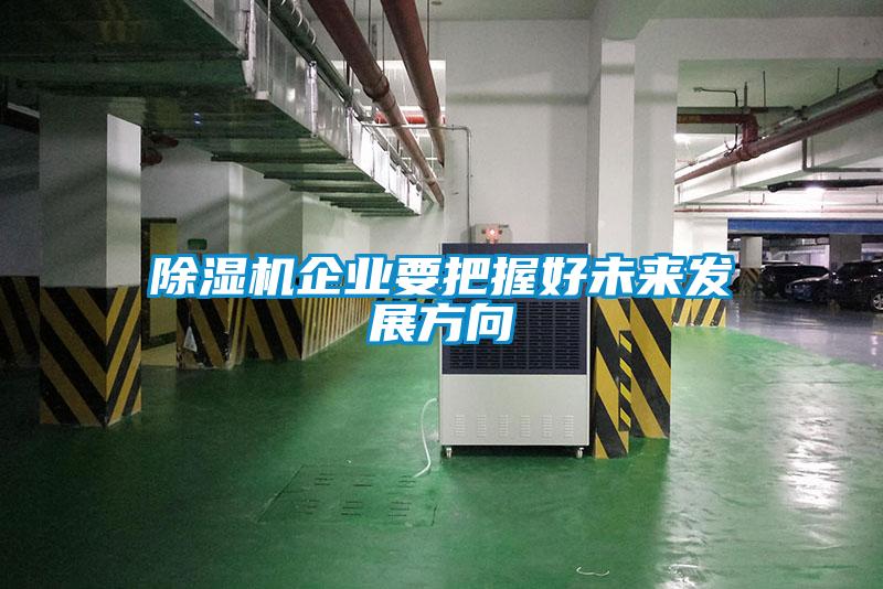 91抖音免费看片企业要把握好未来发展方向