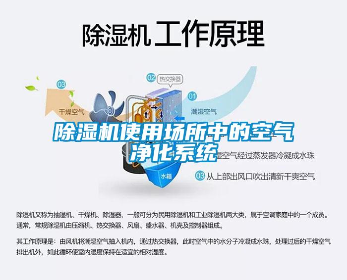 91抖音免费看片使用场所中的空气净化系统
