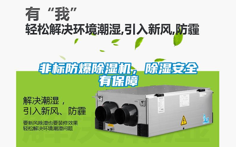 非标防爆91抖音免费看片，除湿安全有保障
