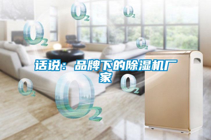 话说：品牌下的91抖音免费看片厂家