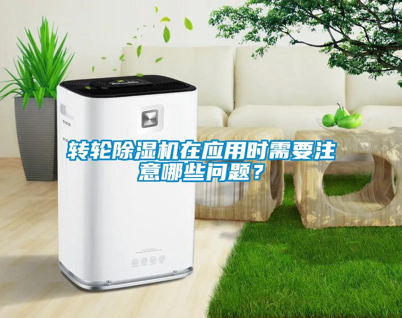 转轮91抖音免费看片在应用时需要注意哪些问题？