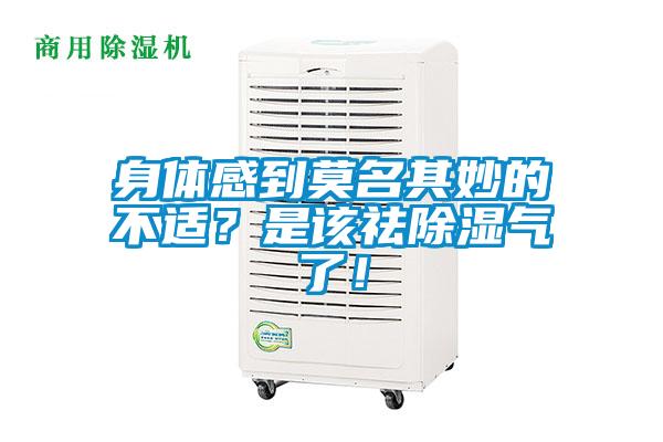 身体感到莫名其妙的不适？是该祛除湿气了！
