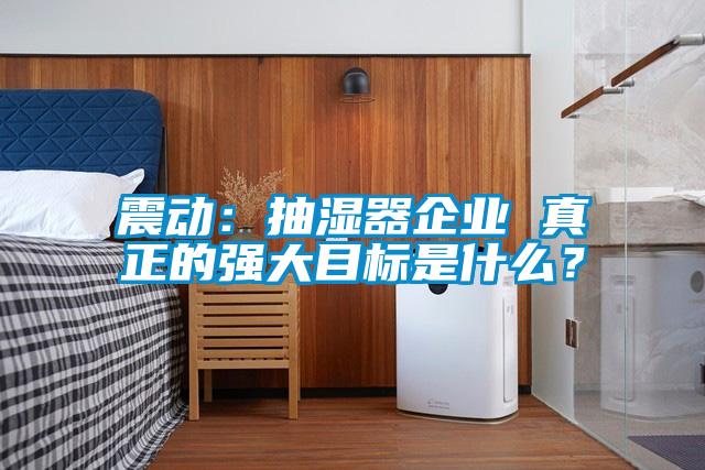 震动：抽湿器企业 真正的强大目标是什么？