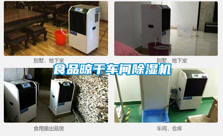 食品晾干车间91抖音免费看片