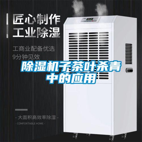 91抖音免费看片子茶叶杀青中的应用