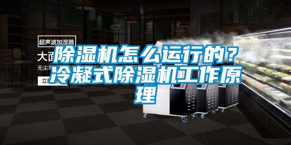 91抖音免费看片怎么运行的？冷凝式91抖音免费看片工作原理